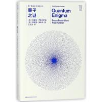 量子之谜/第一推动丛书物理系列