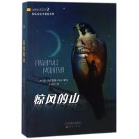 惊风的山/荒野生存系列小说三部曲