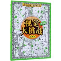 视觉大挑战(银色卷)(精华版)