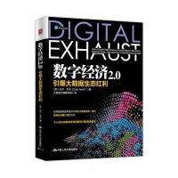 数字经济2 0:引爆大数据生态红利