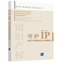 守护IP:知识产权律师实务与案例指引