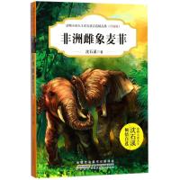非洲雌象麦菲