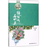 静静的石竹花