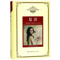 复活/长江名著名译(全译插图本)