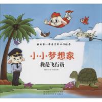 我是飞行员