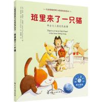 班里来了一只猫