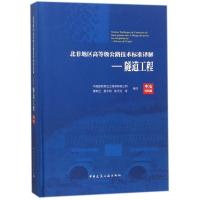 隧道工程/北非地区高等级公路技术标准译解(中法对照版)