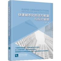 快速城市化的动力机制与应对策略