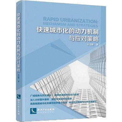 快速城市化的动力机制与应对策略