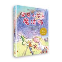 又见小不点魔法师/国际安徒生奖儿童小说/安妮.M.G.施密特作品