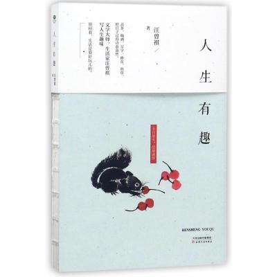 人生有趣