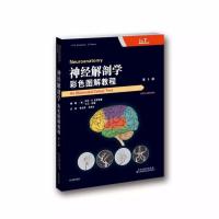 神经解剖学:彩色图解教程(第5版)