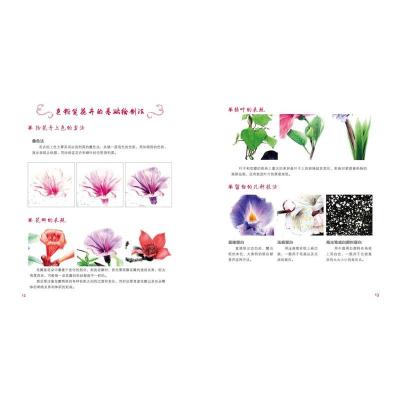 晶莹鲜花绘