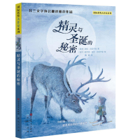 精灵与圣诞的秘密国际获奖大作家系列芬兰文学协会中译班主任推荐作品儿童文学世界经典读物8