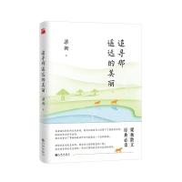 追寻那遥远的美丽