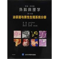 罗塞阿克曼外科病理学(第10版):泌尿道与男性生殖系统