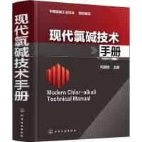 现代氯碱技术手册