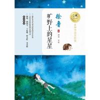 旷野上的星星/暖心美读书(名师导读美绘版)