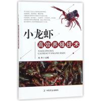 小龙虾高效养殖技术