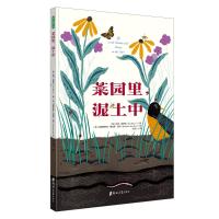 菜园里泥土中