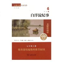 经典名著大家名作白洋淀纪事无障碍阅读&全译本素质版