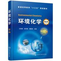环境化学(王凯雄)(第2版)