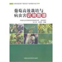 葡萄高效栽培与病虫害识别图谱