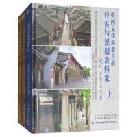 中国文化商业古街开发与规划资料集:现代清明上河图(