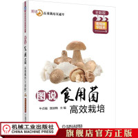 1770258|图说食用菌高效栽培(全彩版)(扫描看视频,学技术)食用菌平菇鸡腿菇