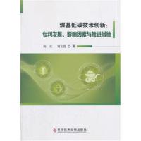 煤基低碳技术创新:发展、影响因素与推进措施