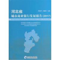 河北省城市商业银行发展报告 (2017)
