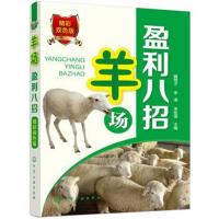 羊场盈利八招