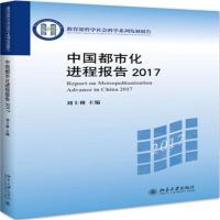 中国都市化进程报告2017