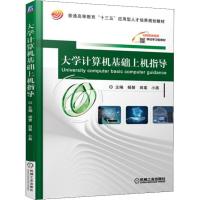 大学计算机基础上机指导/杨慧