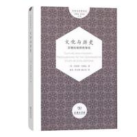 文化与历史:文明比较研究导论(文明与世界译丛)