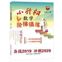 小升初数学阶梯精练