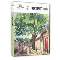 槐树的问候