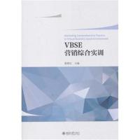 VBSE营销综合训练教程