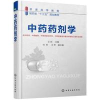 中药药剂学(王岩 )