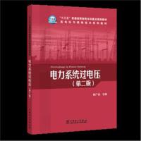 “十三五”普通高等教育本科重点规划教材 高电压与绝