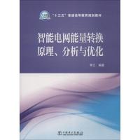 智能电网能量转换原理、分析与优化