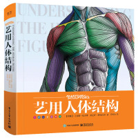 [绘画乞讨人贵哥推荐]艺用人体结构理解形态人体结构绘画书籍教学造型手绘技法素描速写临摹入零基础自学漫画教程书预售^