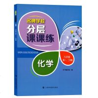 名牌学校分层课课练 化学 九年级第一二学期/9年级 含答案 上海科技教育出版社 上海版教材配套教辅