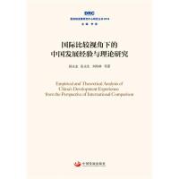 国际比较视角下的中国发展经验与理论研究