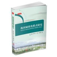 我国城镇化模式研究