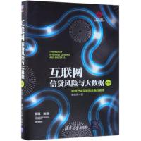 互联网信贷风险与大数据:如何开始互联网金融的实践(第2版)