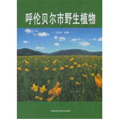 呼伦贝尔市野生植物
