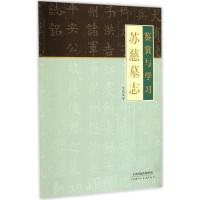 苏慈墓志