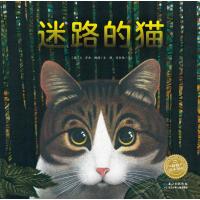 迷路的猫(平)/绘本花园
