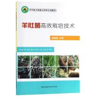 羊肚菌高效栽培技术